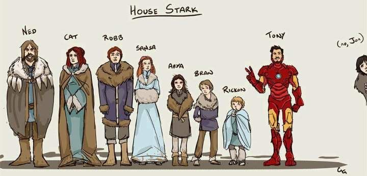 house_of_stark_game_of_thrones.jpg